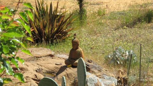 Blue Cliffs Retreat - Guest Experience and Ratings