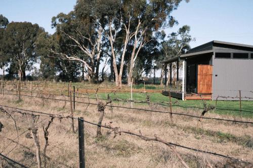 Buller Wines - Guest Experiences