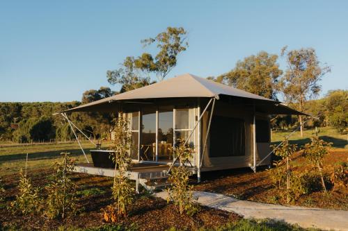 CANVS by CABN Seppeltsfield Barossa Review