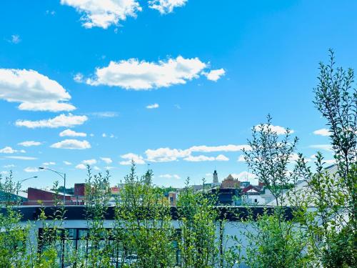 Comfort Inn & Suites City Views - Ideal Location