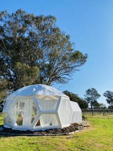Coonawarra Hampton Bubble 2 - Guest Satisfaction