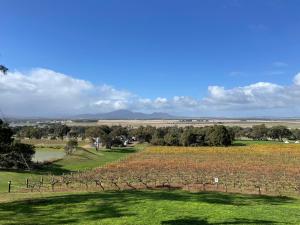 Cosy Glamping Tent 4 - Guest Reviews