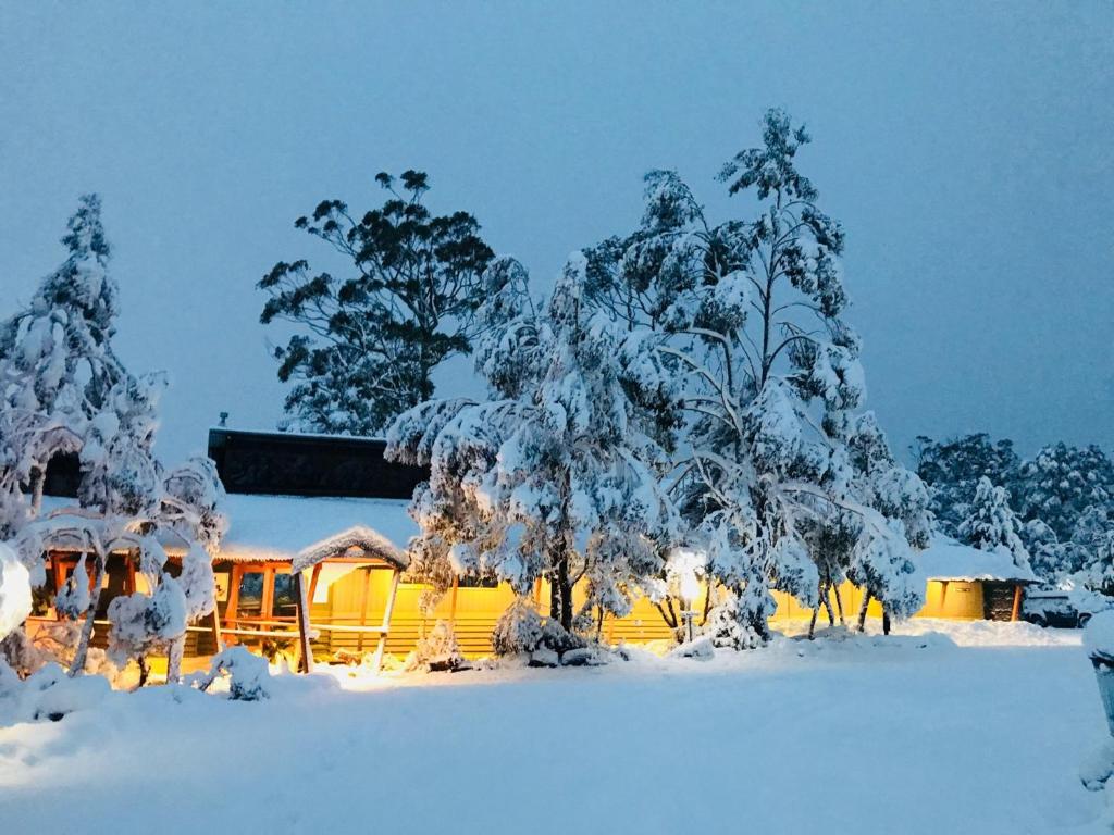 Best Hotels In Cradle Mountain
