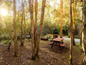 Discovery Parks - Cradle Mountain - Facility Highlights