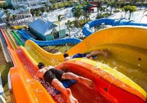 Disney,Encore Official Water Park&Golf Holiday Vacation Villa - Dining Delights