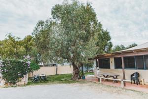 Dongara Hotel Motel - Amenities and Facilities