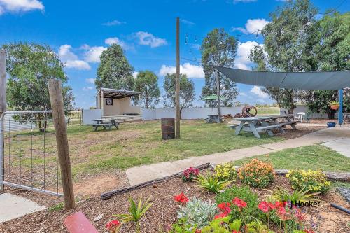 Falcon Hotel Motel - Guest Reviews and Feedback