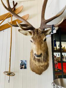 Feathertop Alpine Lodge - Guest Reviews and Feedback Highlights