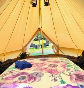 Glamping at Zeehan Bush Camp - Accommodation Options