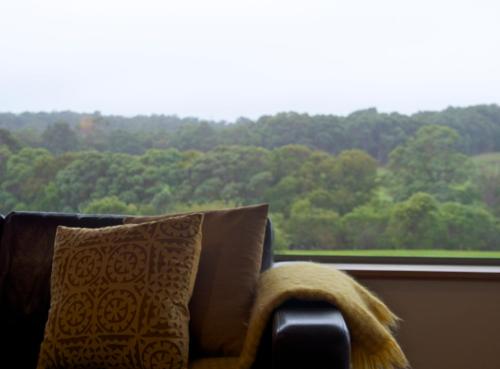 Hilltop Studios - Guest Experiences