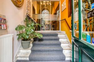 Hotel Alexander - Room Types