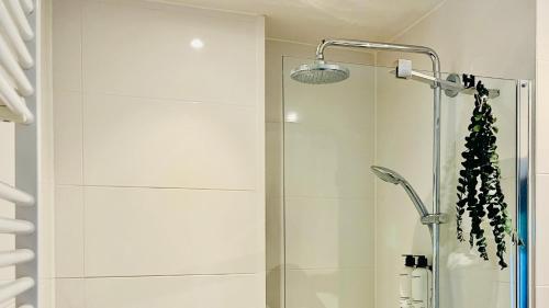 Hotel Sutor - Guest Reviews