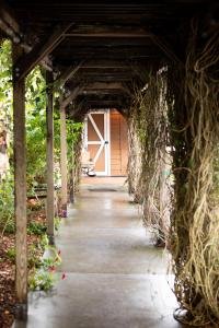 J Patrick Inn - Amenities and Facilities