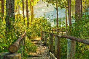 Kianinny Bush Cottages - Outdoor Recreation
