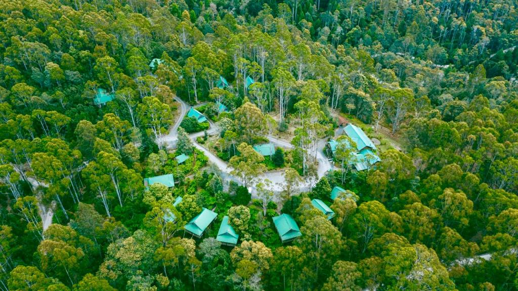 Best Hotels In Moina