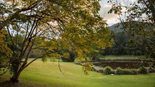 Maviss Cabins @ Mt Warning - Guest Experiences