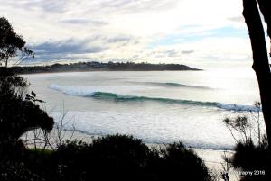 Mollymook Cove Apartments - Guest Experience