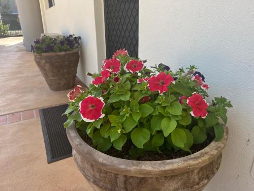 Nautilus Hamptons Style Luxury Beach Apartment Merimbula - Amenities and Facilities