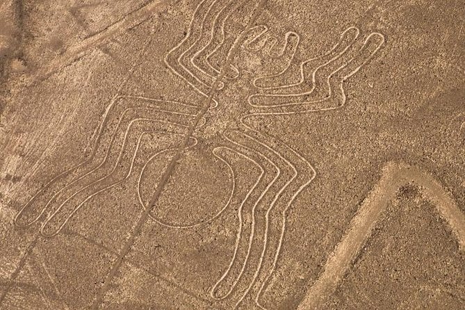 Nazca Lines From Nazca Airport - Highlights of the Nazca Lines