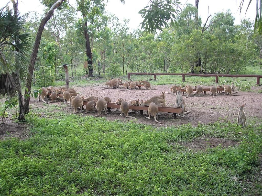 Ninas Ark Wildlife Sanctuary Package Review