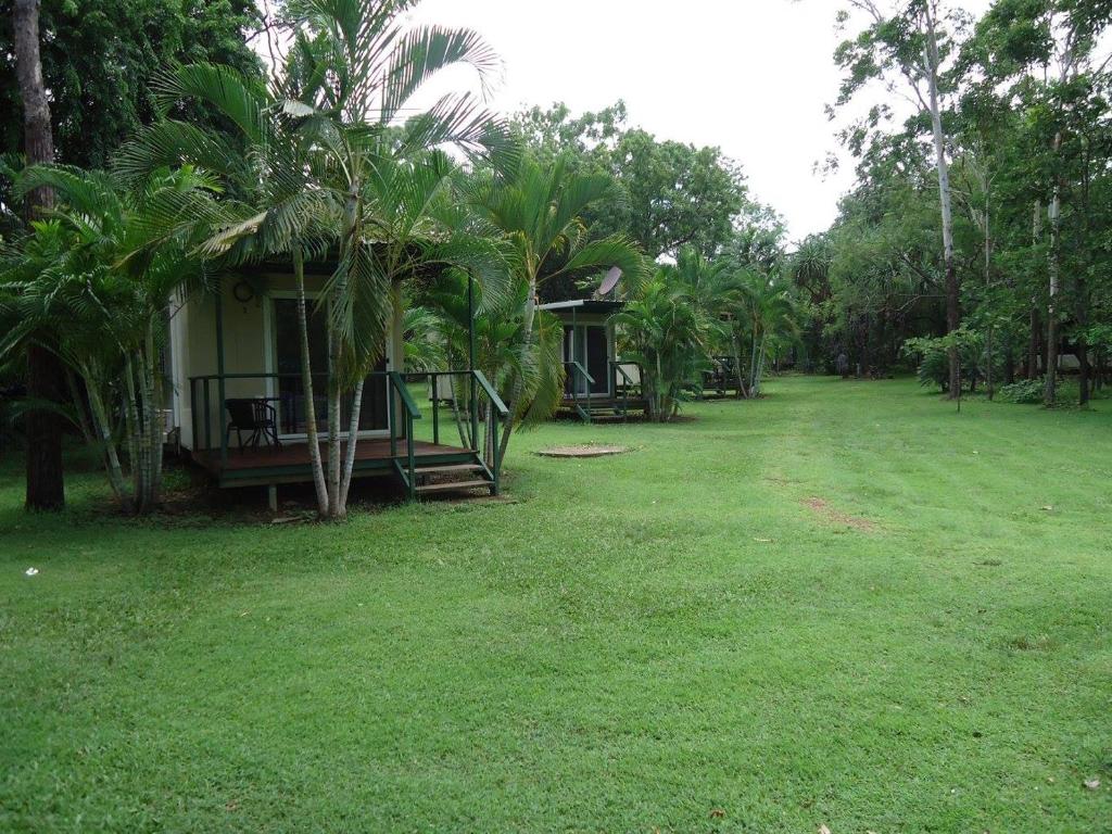 Pandanus on Litchfield Review