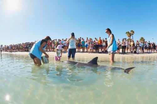 RAC Monkey Mia Dolphin Resort - Accommodation Options