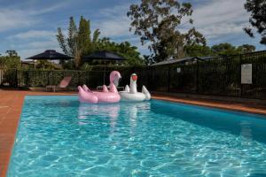 Rydges Bankstown - Hotel Facilities