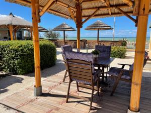 Shark Bay Seafront Apartments - Guest Experience