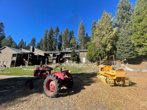 Sierra Woods Lodge - Accommodations