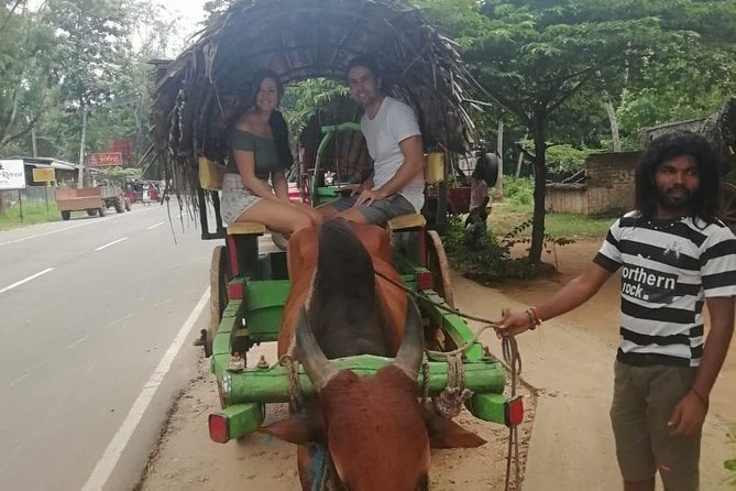 Sigiriya, Traditional Lunch And Cave Temple Private Day Tour All Inclusive