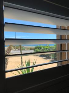 Studio South Port - Lush Private Oceanfront Studio Apartment - Guest Experience