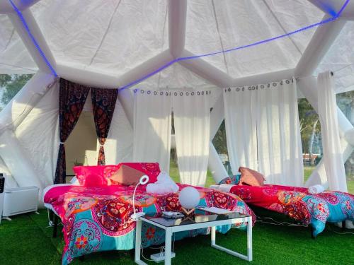 Taj Mahal Upgraded Hex Bubble - Natural Ventilation and Comfort