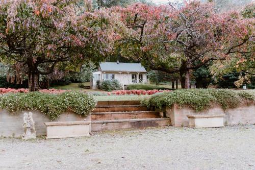 The Mountain View Cottage - Amenities and Features
