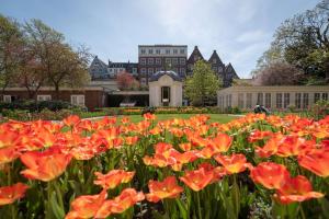 Waldorf Astoria Amsterdam - Dining Options