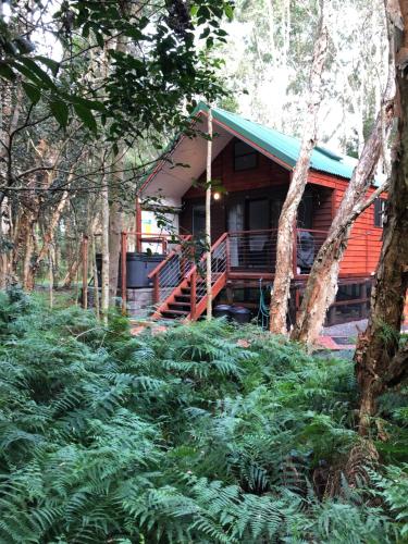 Wanderers Retreat - Cottage Types