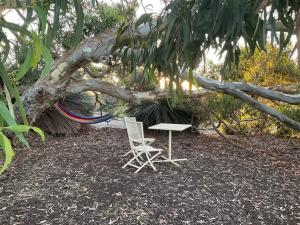 Wedgetaildown - Guest Experiences