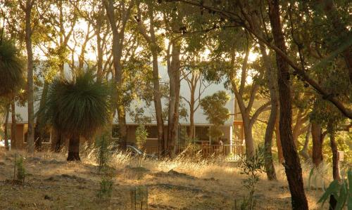 Wildwood Valley - Accommodation Options