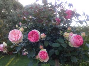 Winniston Lodge Luxury Accommodation - Guest Experience and Reviews