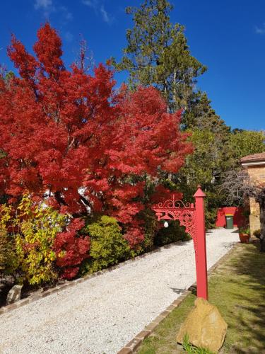 Winston Cottage at Three Sisters - Guest Experiences