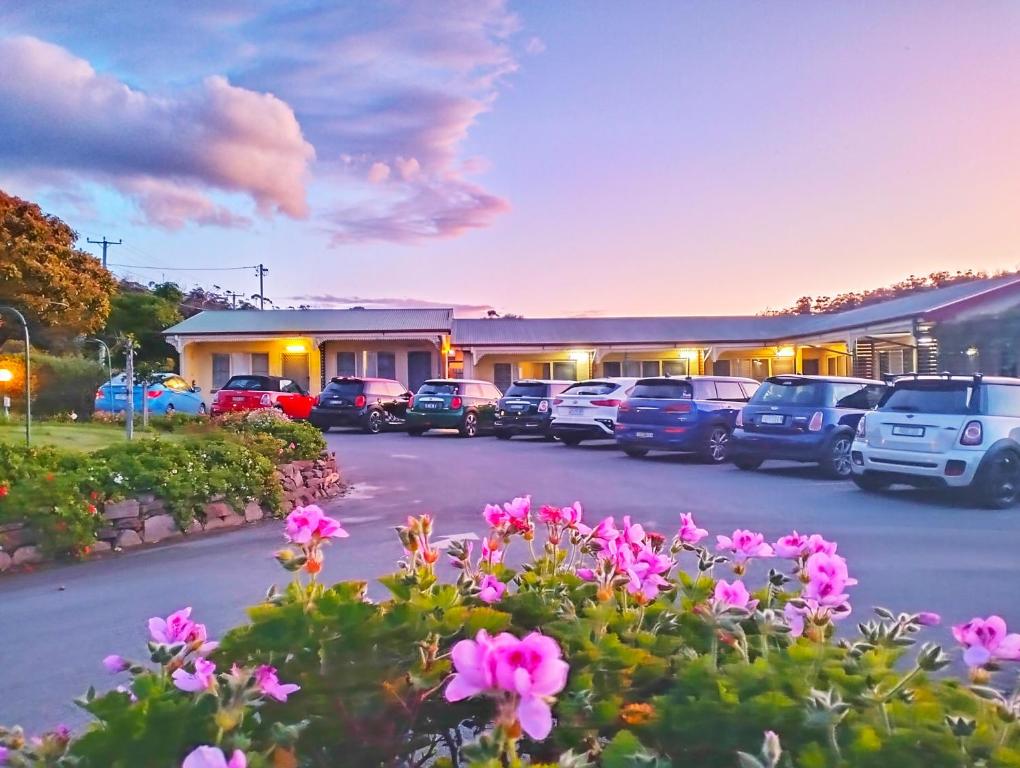 Wintersun Gardens Motel - Amenities and Facilities