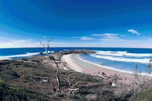 Yamba Central - Guest Experiences and Ratings