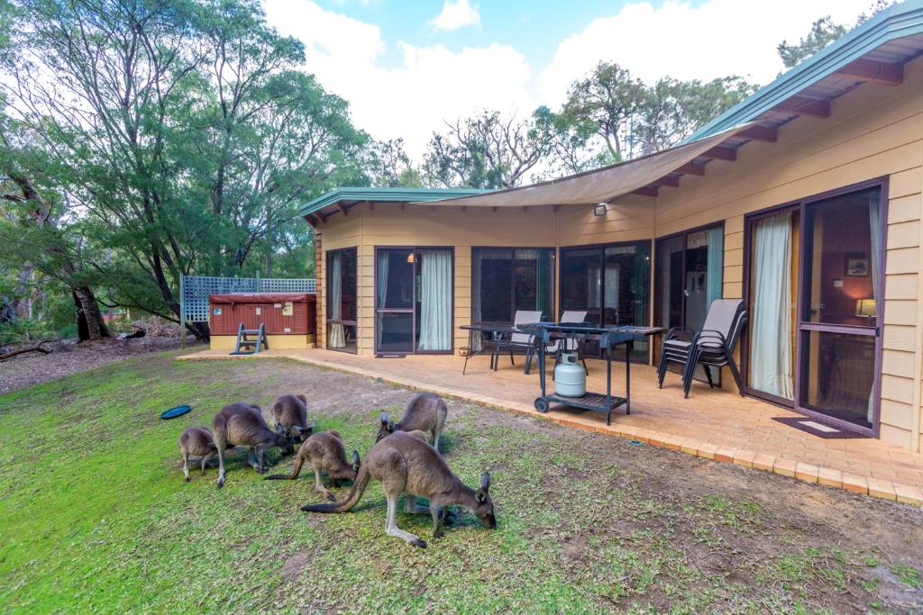 Yelverton Brook Conservation Sanctuary - Facilities and Amenities