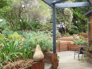 A Suite Spot in the Hills - Outdoor Features and Surroundings