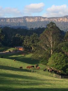 Amaroo Valley Springs - Culinary Offerings and Dining