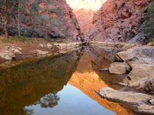 Arkaroola Wilderness Sanctuary - Wildlife and Ecology