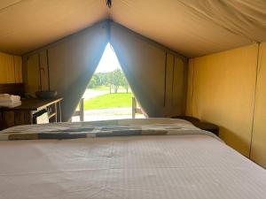 Ballina Beach Nature Resort - Pet-Friendly Cabin Experiences