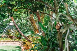 Balmoral Queenslander - Nearby Attractions