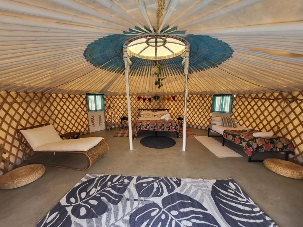 Boogaloo Camp Review