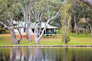 Bushy Lake Chalets - Activities and Experiences