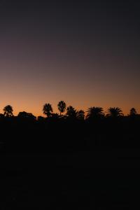 CANVS by CABN Seppeltsfield Barossa - Facilities and Comfort Scores